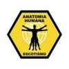Especialidade – Anatomia Humana