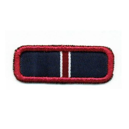 Distintivo Submonitor(a) – Sênior / Guia