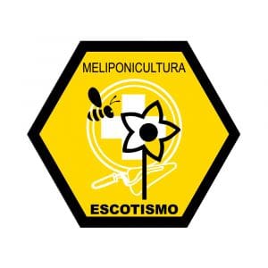 Especialidade – Meliponicultura