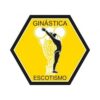 Especialidade – Ginástica
